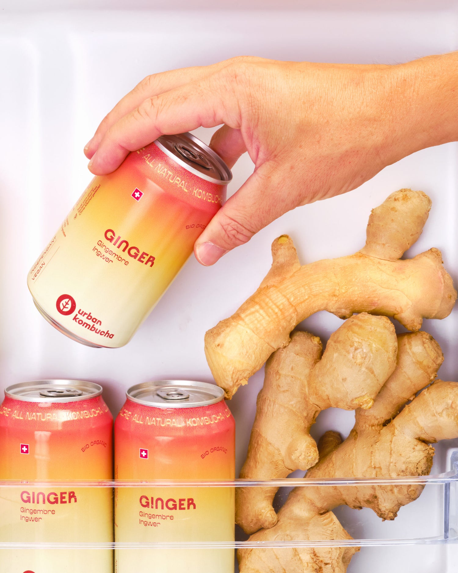 Urban Kombucha - Gingembre - Bio
