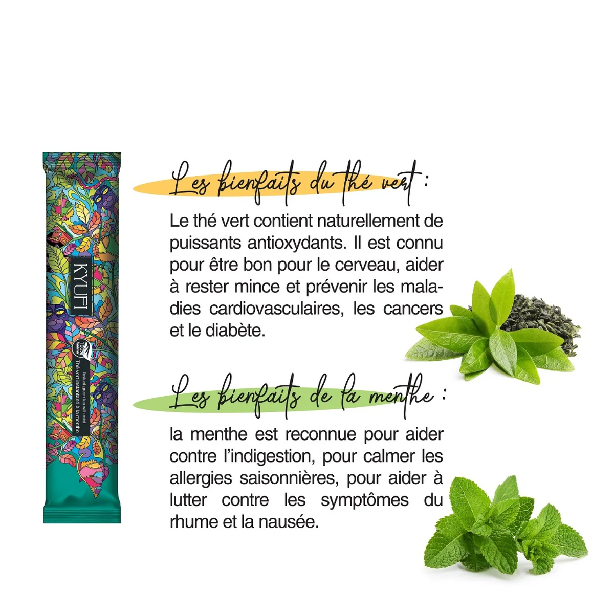 Le thé vert contient de puissants antioxydants. il est connu pour être bon pour le cerveau, aide à rester mince et prévient les maladies cardiovasculaires, les cancers et le diabète