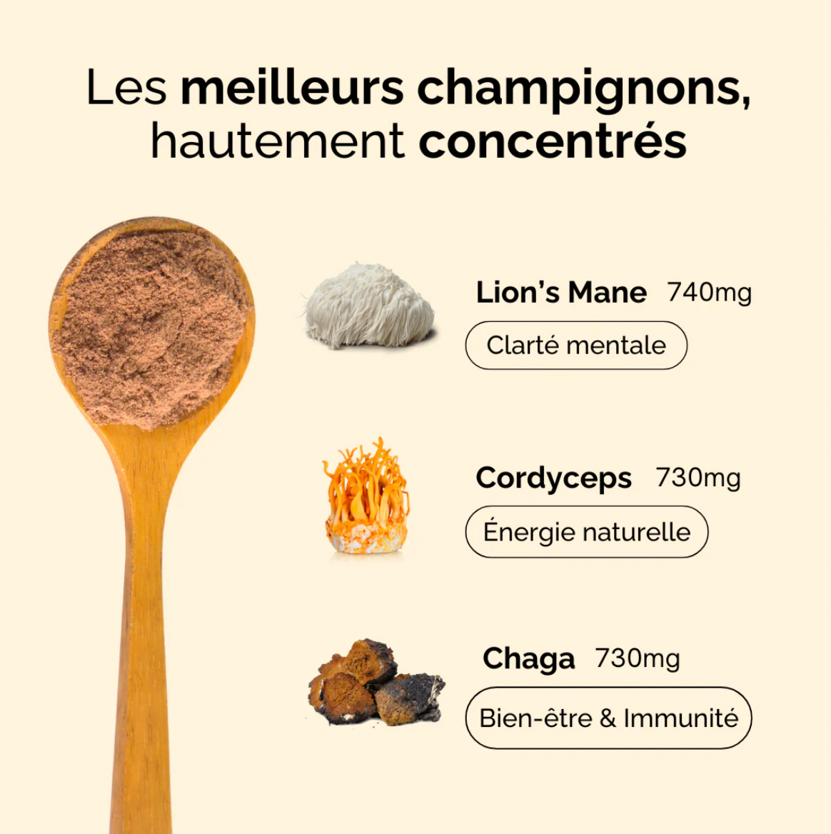 Bonjour - Saveur Cacao