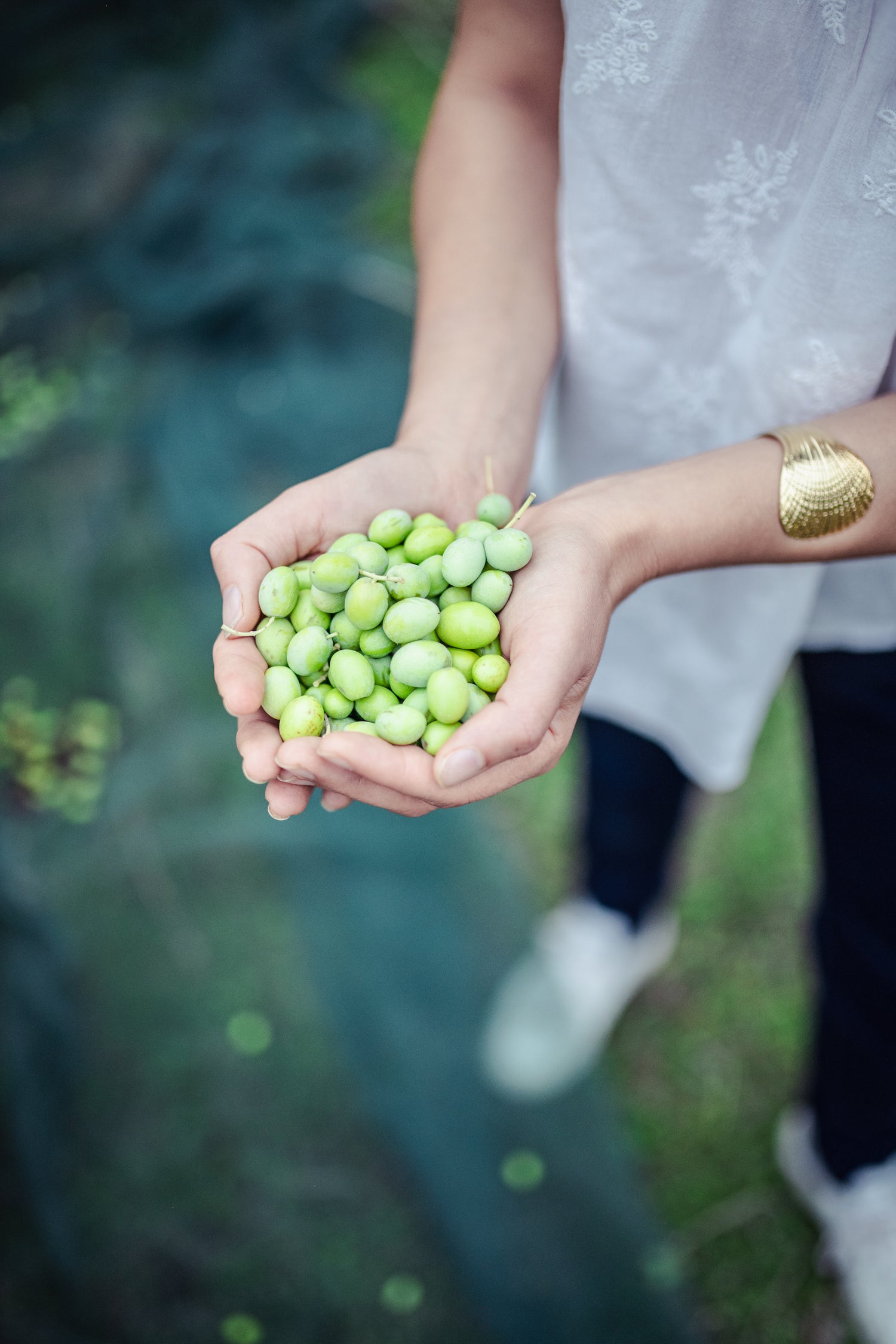 OLISSEY Huile d'olive vierge extra bio 50cl - SUBLIME - Fruité mûr léger