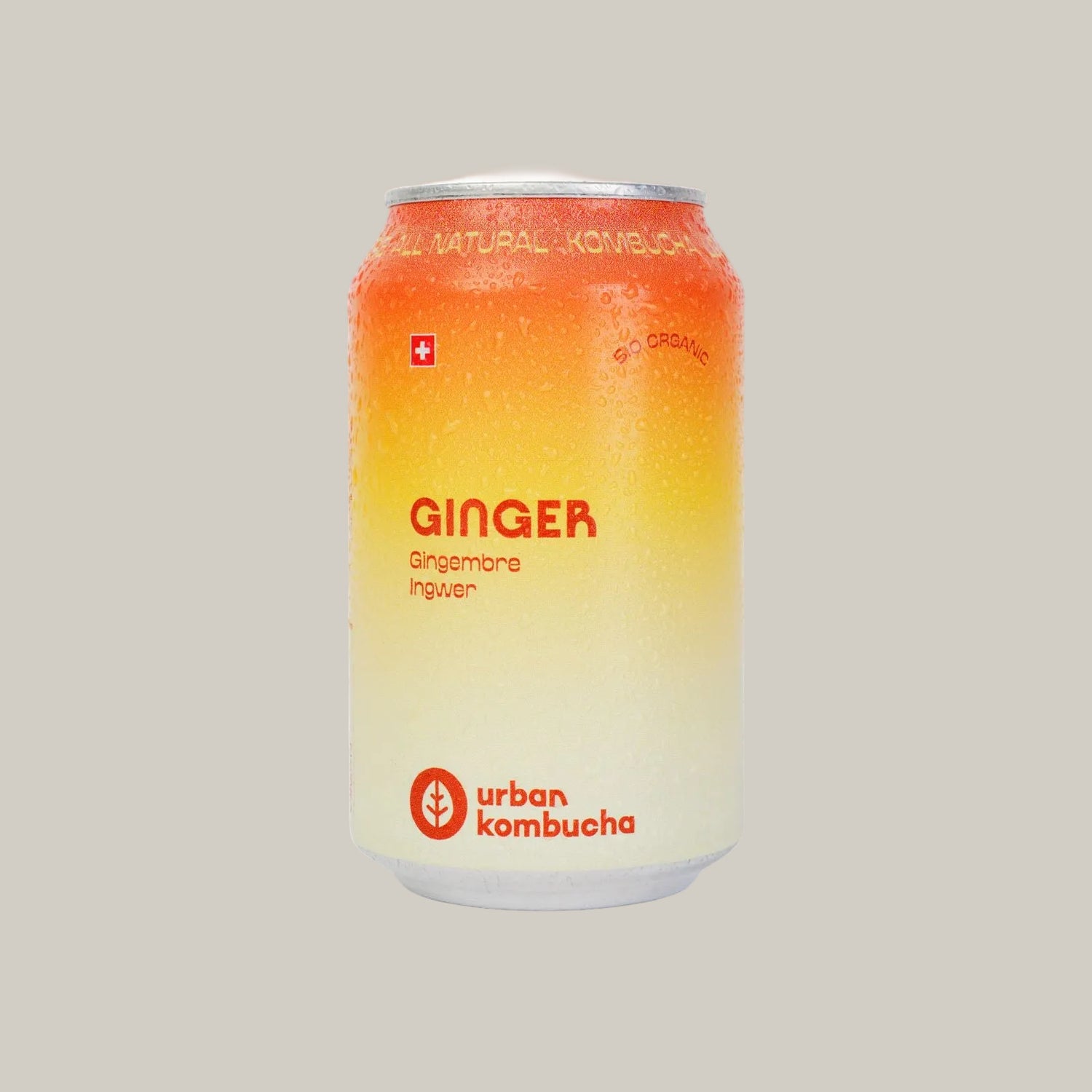 kombucha gingembre 