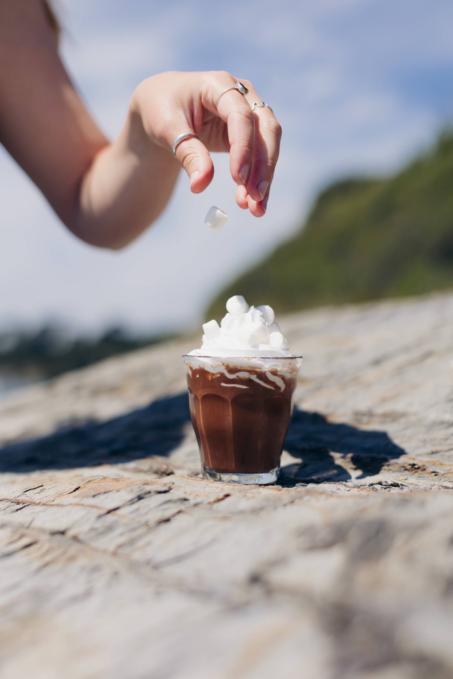 Milkshake au chocolat - Harth
